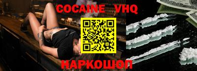 тгк Кингисепп