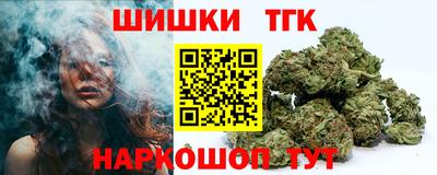 тгк Кингисепп