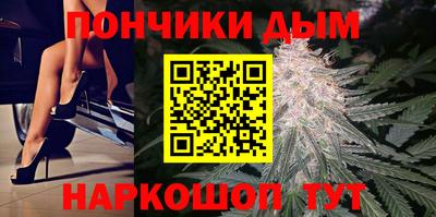 тгк Кингисепп