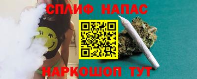 сатива Кинель