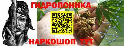 сатива Кинель