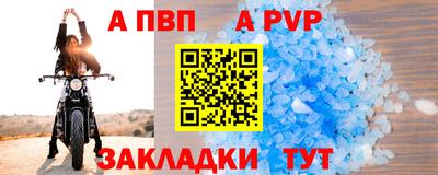 тгк Кингисепп